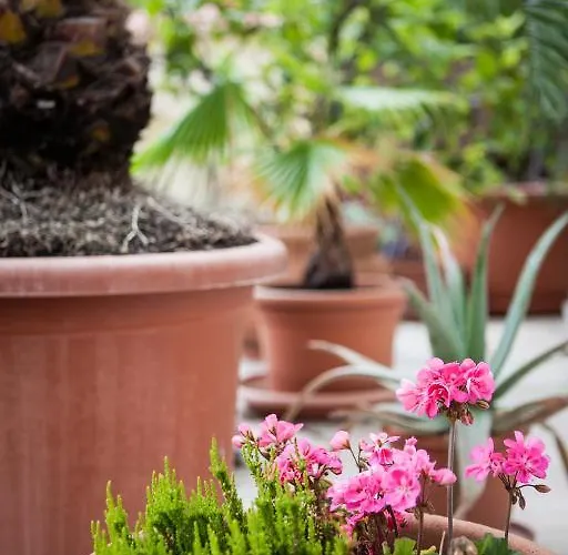 Гостевой дом Mediterran